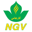 CarGas Logo